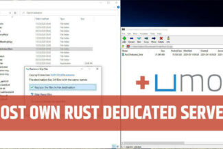 Rust Dedicated Server